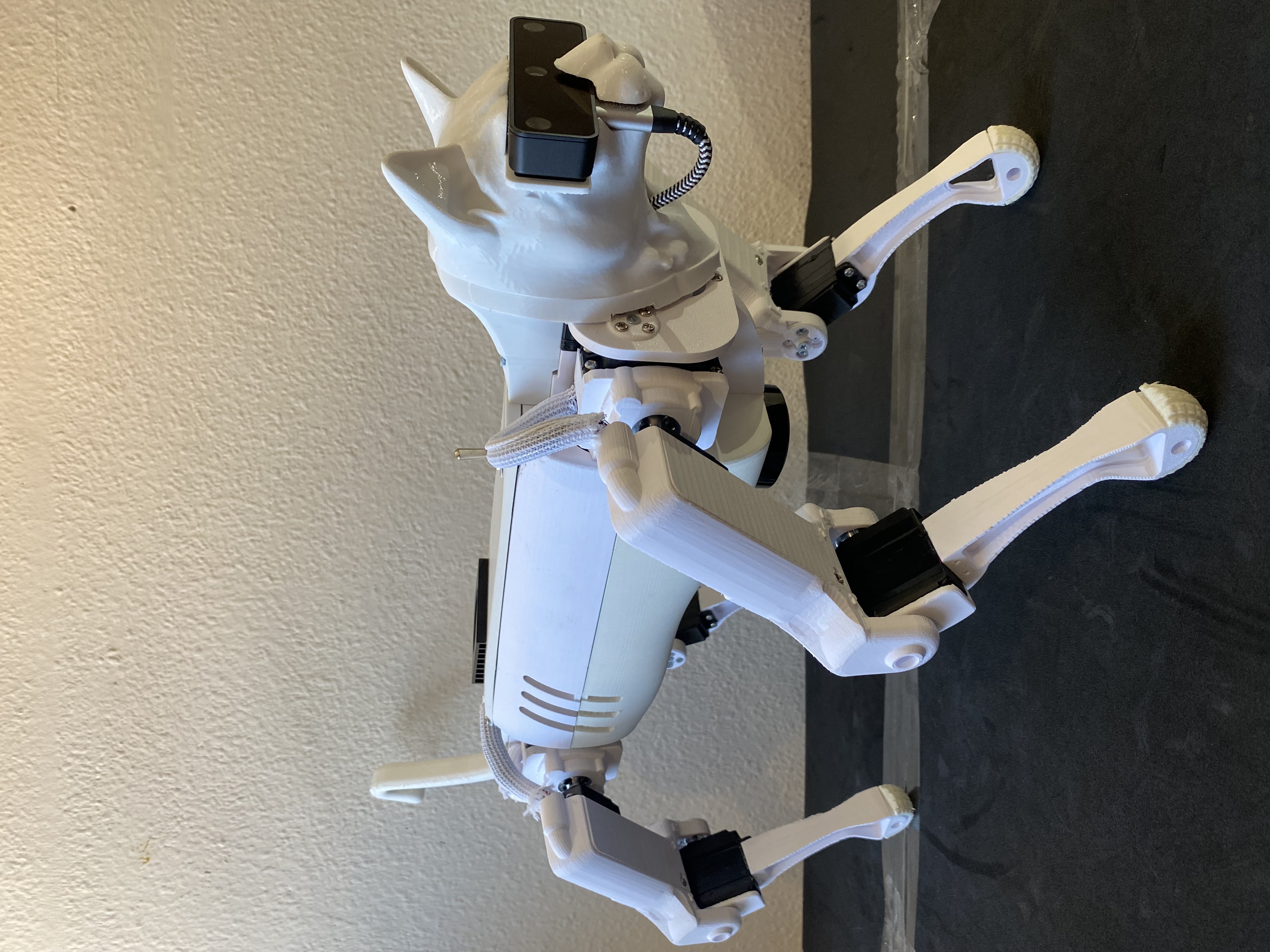 Cocov2